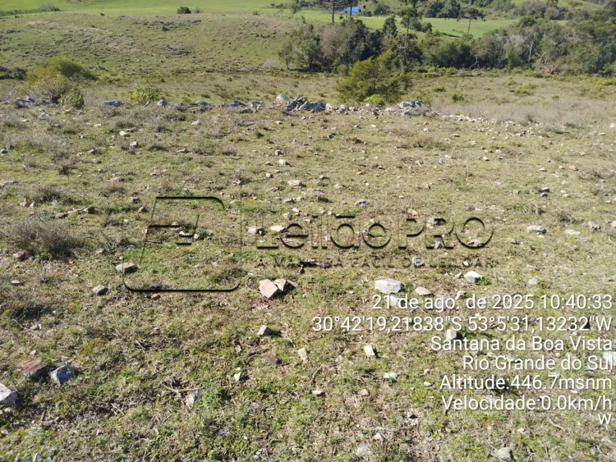 LOTE 000 - campo 260hec