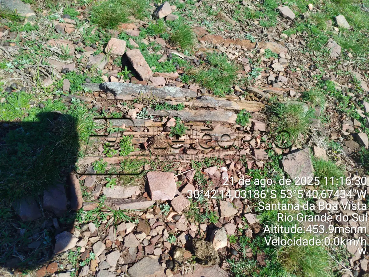 LOTE 000 - campo 260hec