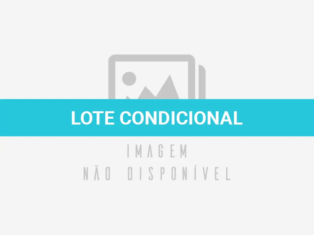 LOTE 002