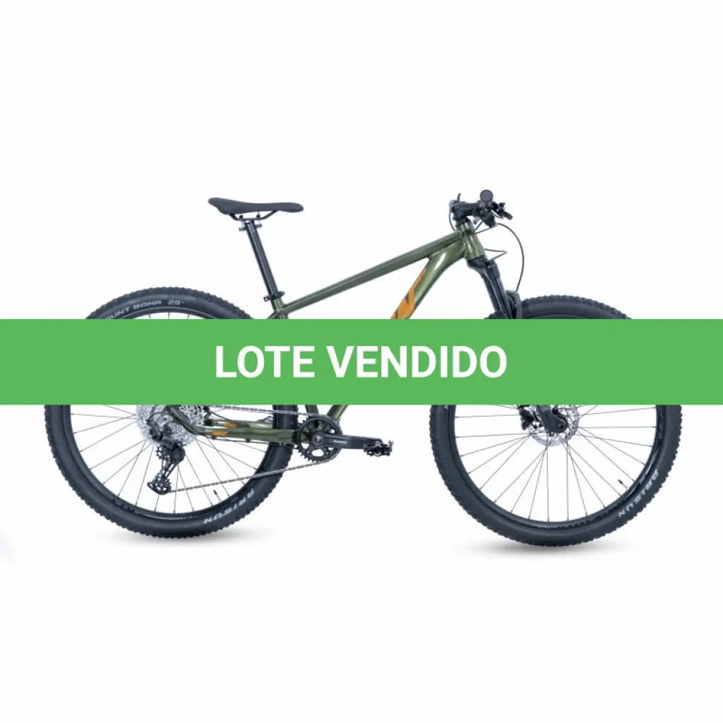 LOTE 0001